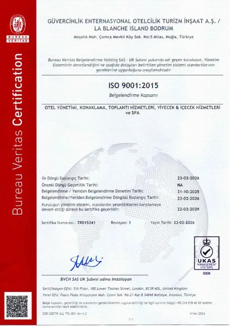 ISO 9001 Kalite Yönetim Sistemi
