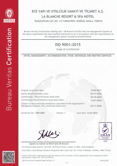 ISO 9001 Kalite Yönetim Sistemi Belgesi
