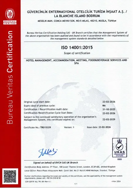 ISO 14001 Çevre Yönetim Sistemi